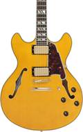 D'Angelico Excel DC Stop-Bar Amber