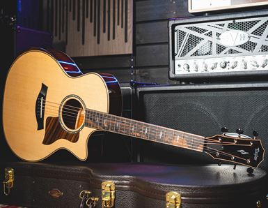 Our In-Depth Review of the Taylor 800 Series